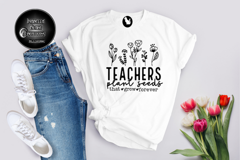 Teacher 2024 7