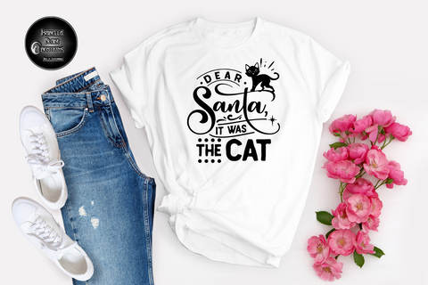 Dear Santa it was the cat